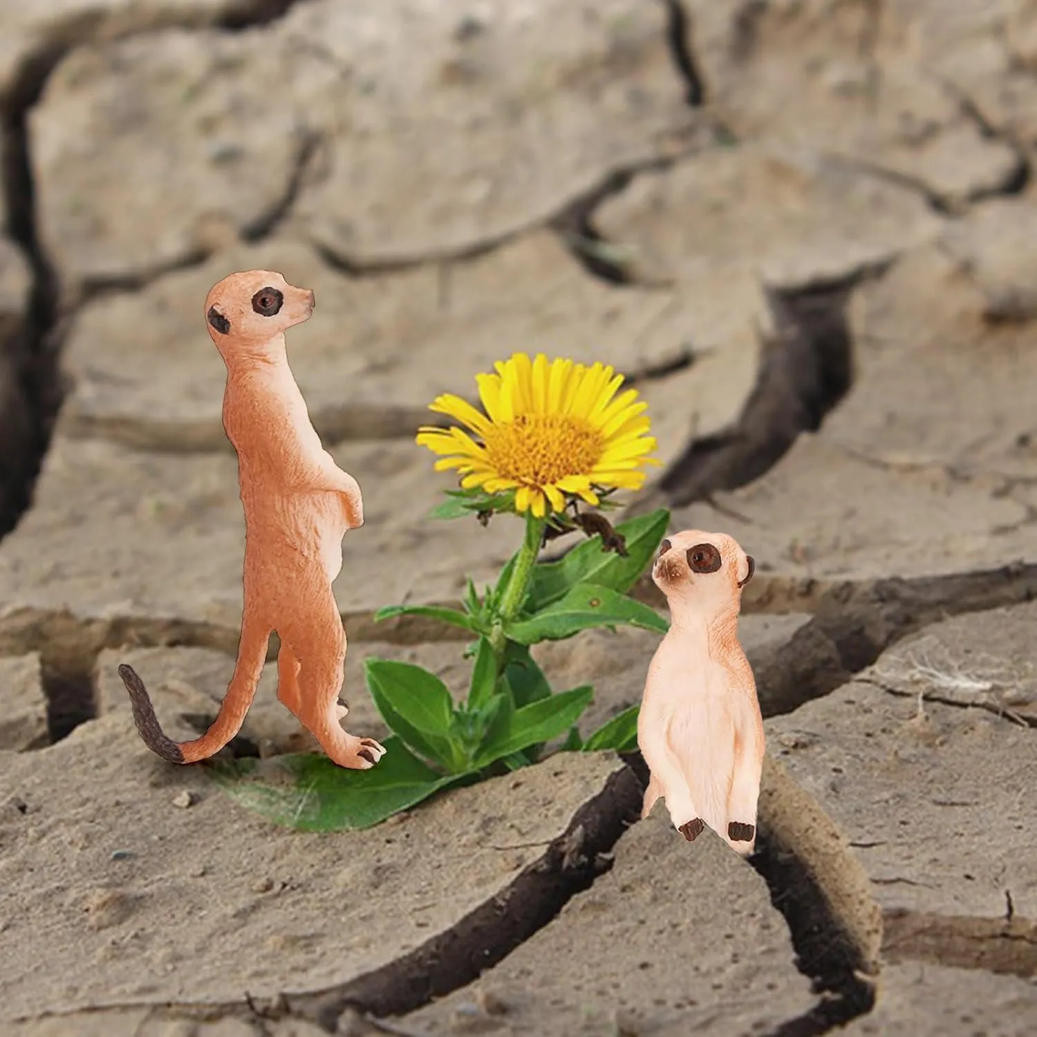 12-Piece Desert Animals Figurines Set - 6 Inch Realistic Toys for Kids, Toddlers, School Projects, Birthday Gifts, and Party Favors