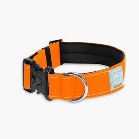 DF Co. Tactical Dog Collar | Comfortable & Secure with Quick Release Clip Buckle and Heavy Duty D-Ring | Soft Padded Neoprene, Chafe Resistant, Night-Time Visibility | Hi-Vis Orange, Size S