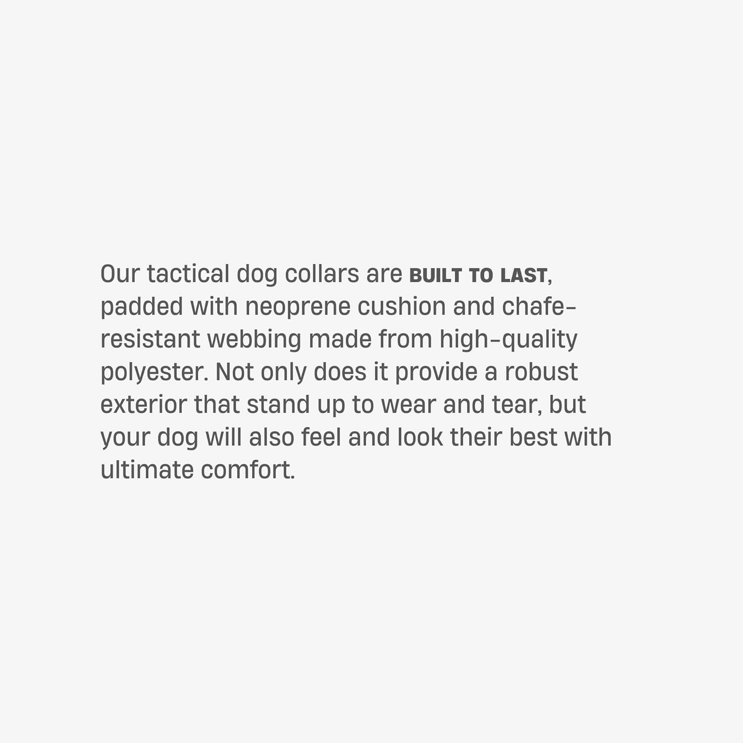 DF Co. Tactical Dog Collar | Comfortable & Secure with Quick Release Clip Buckle and Heavy Duty D-Ring | Soft Padded Neoprene, Chafe Resistant, Night-Time Visibility | Hi-Vis Orange, Size S