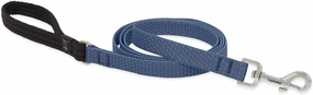 Dog Leash by Lupine ECO Collection 3/4" Wide Mountain Lake 4-Foot Long with Padded Handle