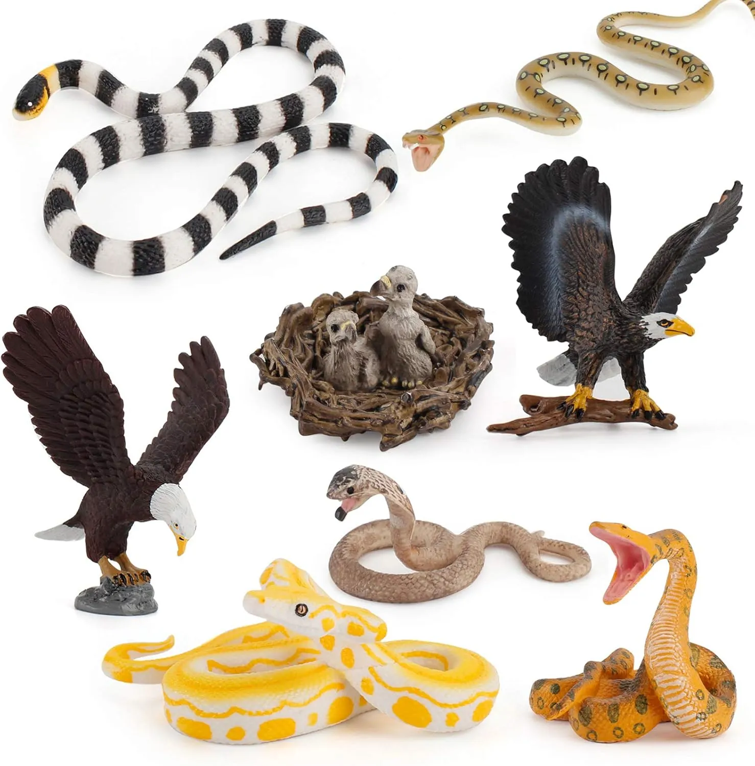 Fantarea 8 PCS Eagle Snake Wild Life Jungle Animal Figures Model Figurine Statue Party Favors Supplies Cake Toppers Decoration Eduactional Toys Set for 5 6 7 8 Years Old Boys Girls Kid Toddlers