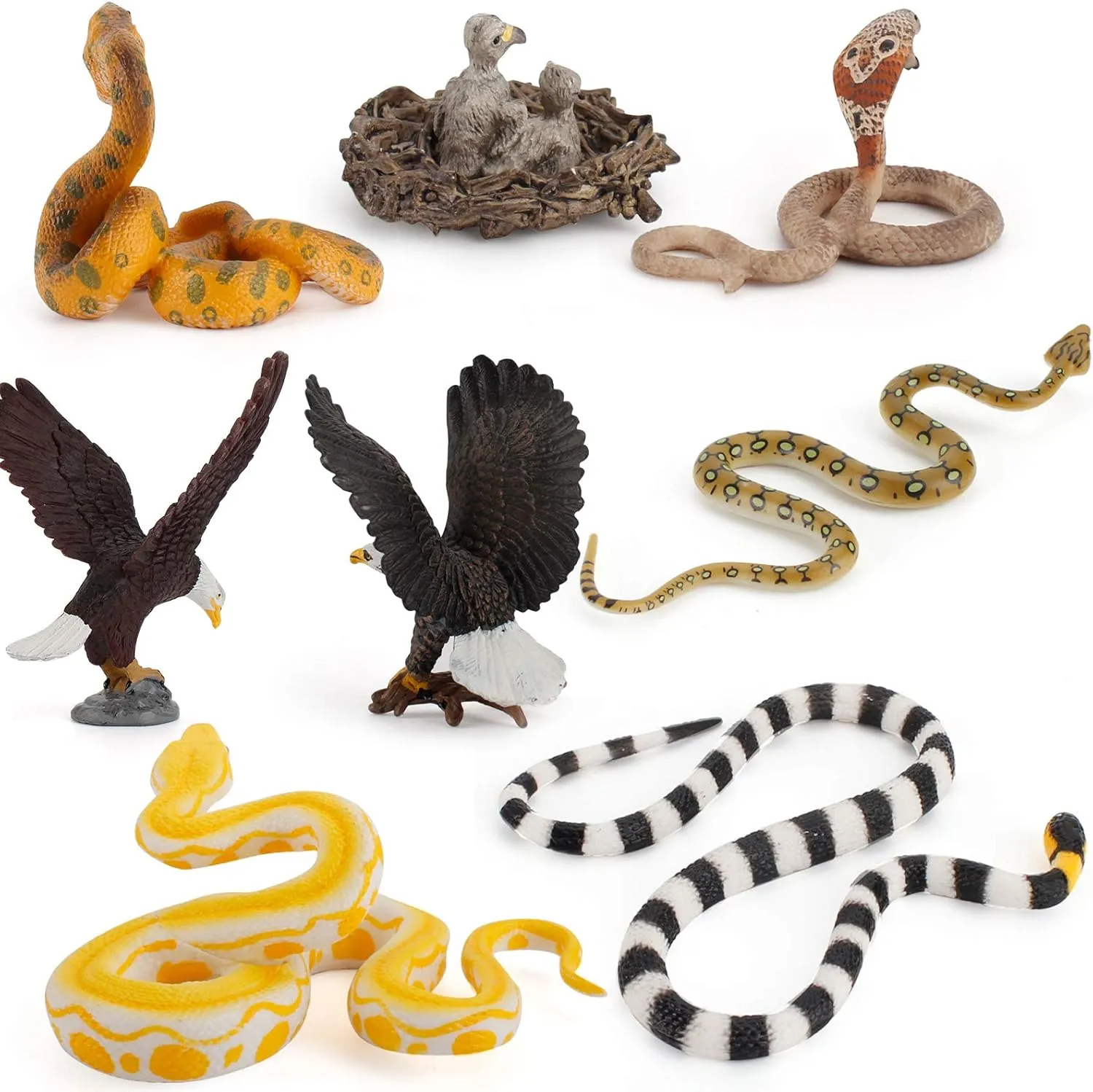 Fantarea 8 PCS Eagle Snake Wild Life Jungle Animal Figures Model Figurine Statue Party Favors Supplies Cake Toppers Decoration Eduactional Toys Set for 5 6 7 8 Years Old Boys Girls Kid Toddlers