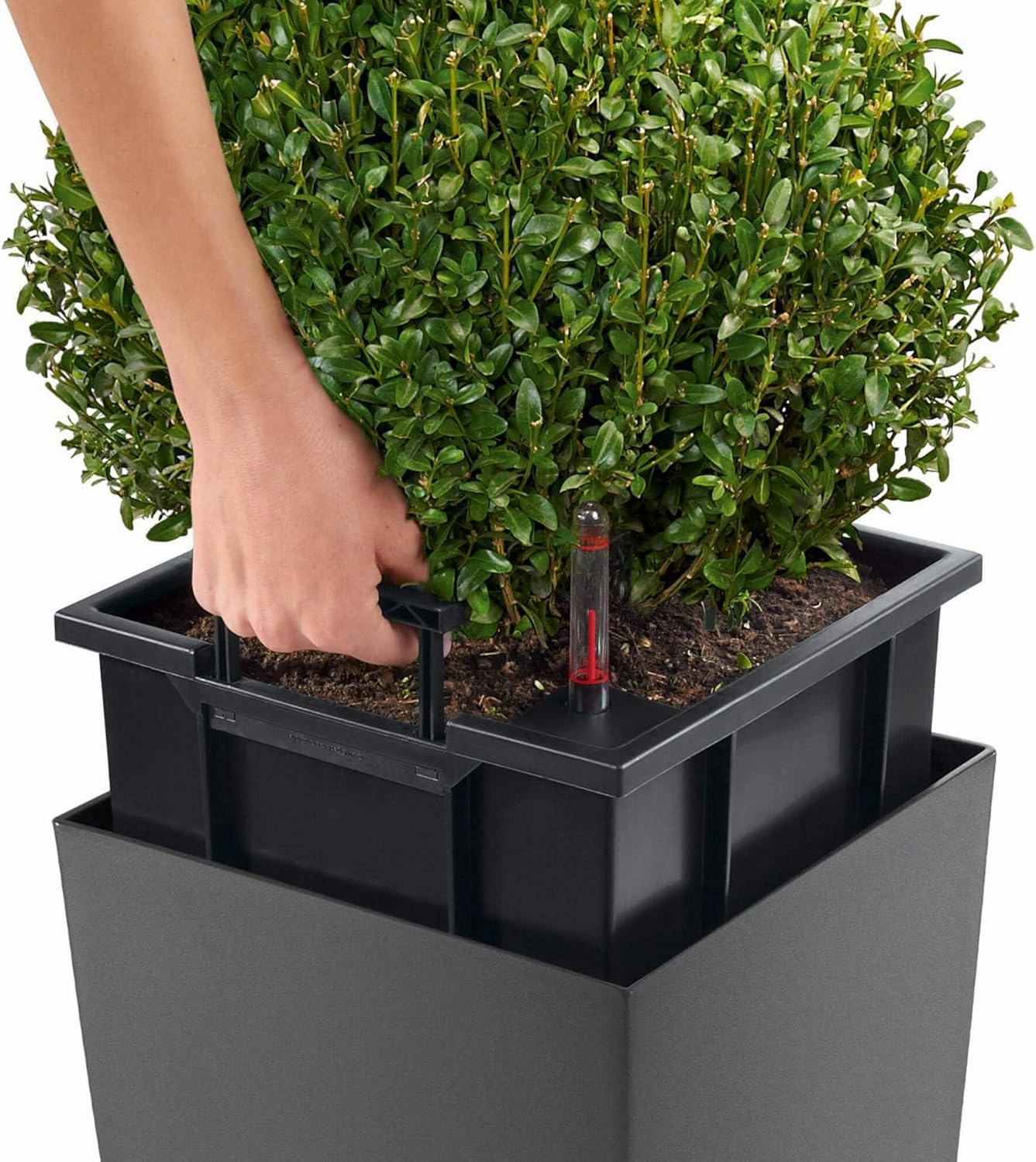 Lechuza CUBICO Premium 22 Anthracite Metallic 18463
