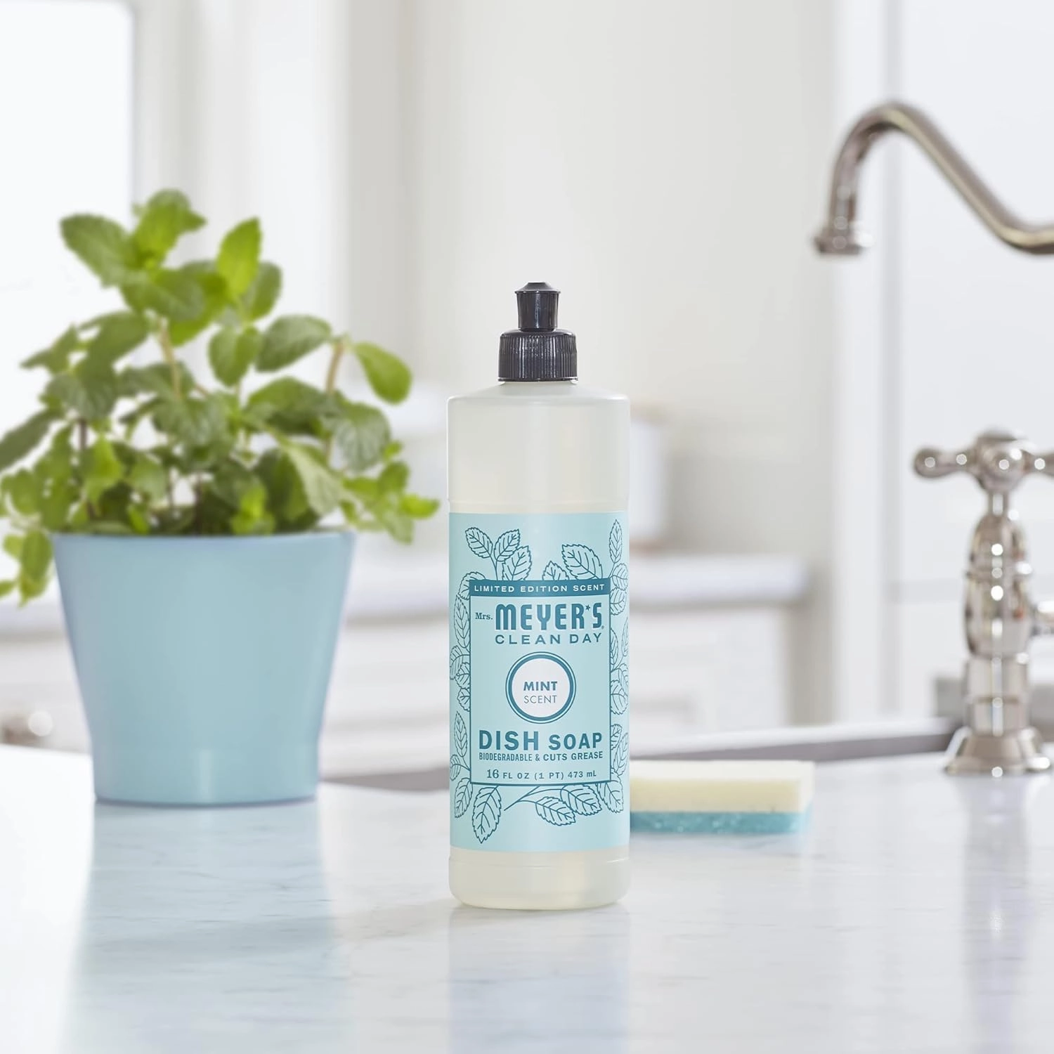 MRS. MEYER'S CLEAN DAY Variety, 1 Mrs. Meyer's Liquid Hand Soap, 12.5 OZ, 1 Mrs. Meyer's Liquid Dish Soap, 16 OZ, 1 CT (Mint)