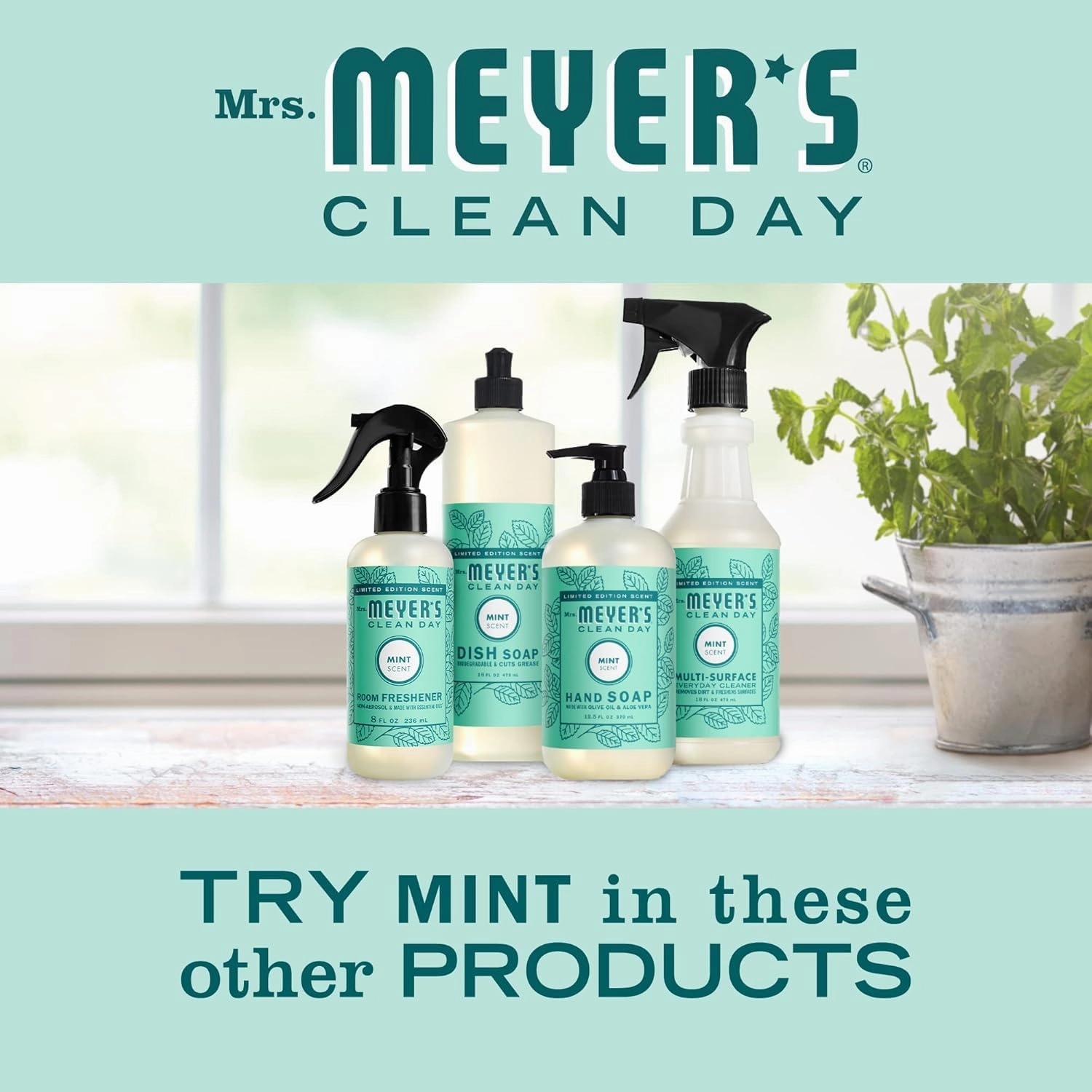 MRS. MEYER'S CLEAN DAY Variety, 1 Mrs. Meyer's Liquid Hand Soap, 12.5 OZ, 1 Mrs. Meyer's Liquid Dish Soap, 16 OZ, 1 CT (Mint)