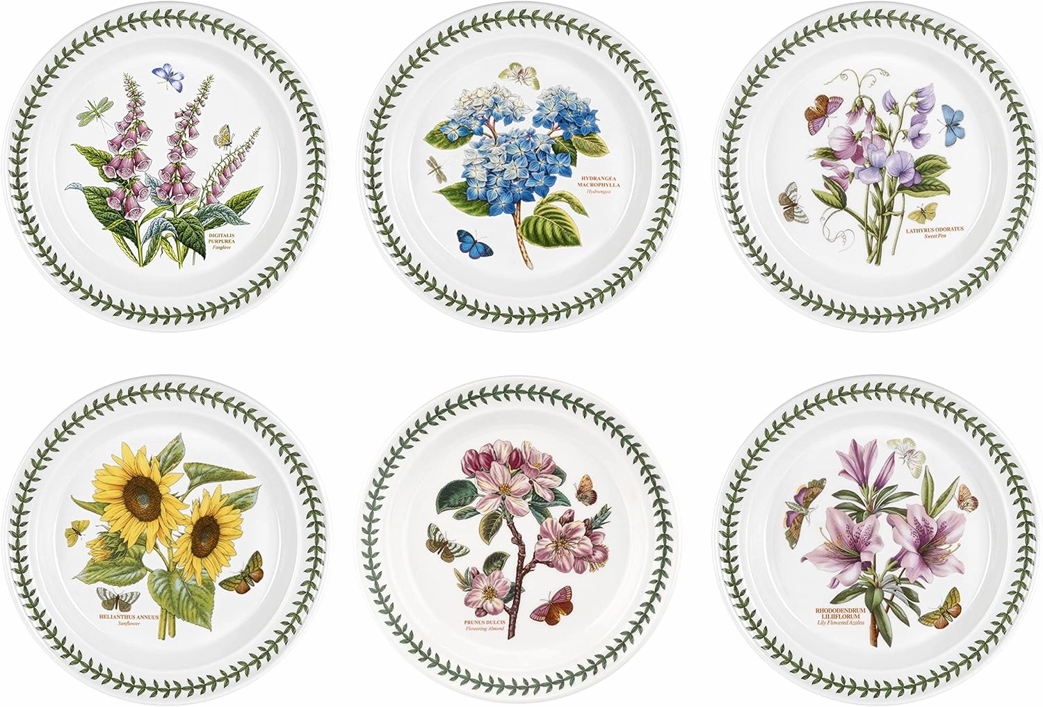 Portmeirion Botanic Garden 10.5" Dinner Plate - Set of 6 | Assorted Floral Motifs | Fine Earthenware | Chip Resistant Glaze | Dishwasher, Microwave, Freezer, Oven Safe | Made in England