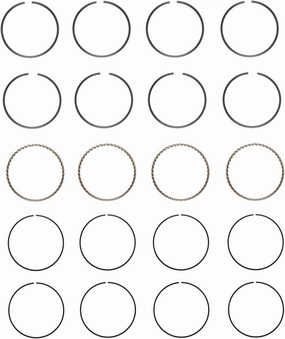 Premium Piston Ring Set (Size .50) | Compatible with Honda/Acura/Isuzu 2.2L 2156 SOHC L4 16V F22A1/F22B1/F22B6/RJ1 Engines