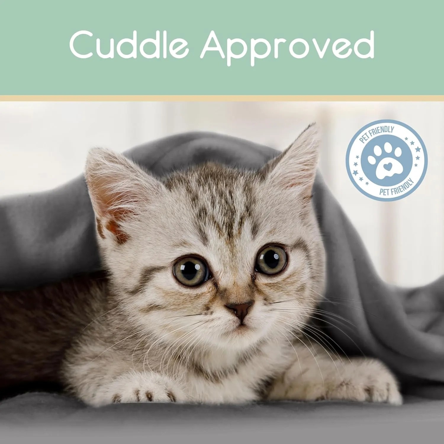 Soft Microfleece Blanket | Queen Size | All-Season Comfort | Super Soft Lightweight Throw | Plush for Bed, Couch, or Travel | Pet-Friendly | Gray
