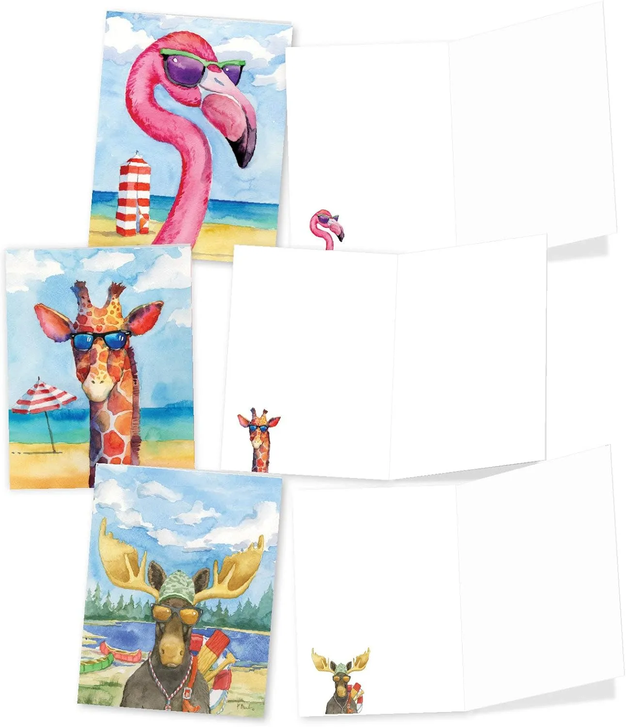 The Best Card Company - 20 Assorted Bulk Wildlife Whimsical Greeting Cards Boxed Set (4 x 5.12 Inch) Wildlife Variety Notecards for Kid (10 Designs, 2 Each) - Animal's Day Off AM6670OCB-B2x10