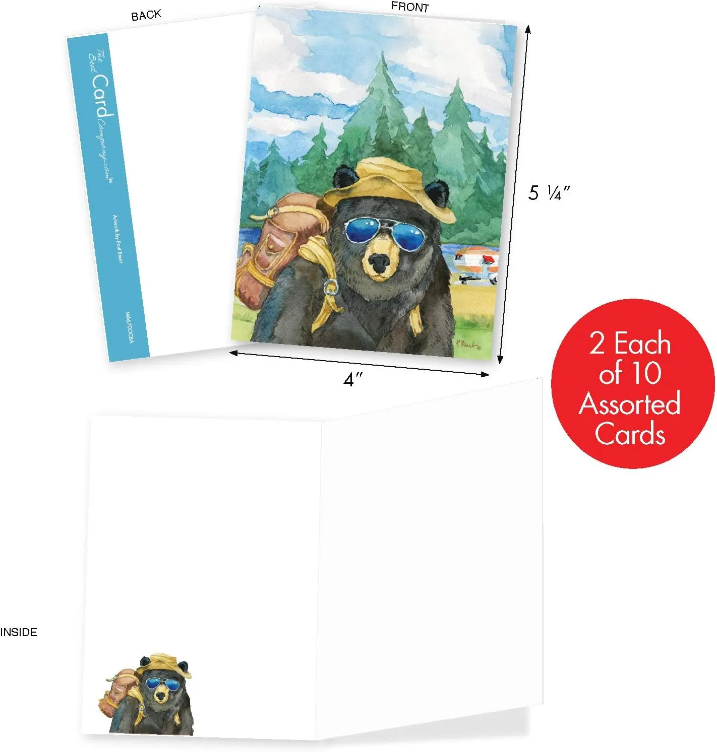 The Best Card Company - 20 Assorted Bulk Wildlife Whimsical Greeting Cards Boxed Set (4 x 5.12 Inch) Wildlife Variety Notecards for Kid (10 Designs, 2 Each) - Animal's Day Off AM6670OCB-B2x10