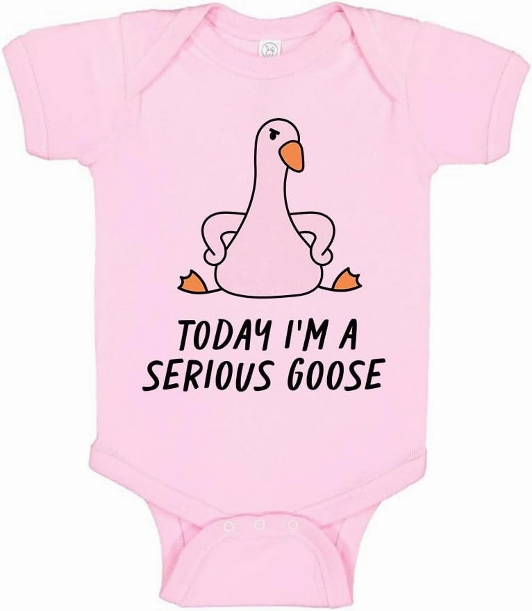 Today I'm a Serious Goose Baby Infant Bodysuit